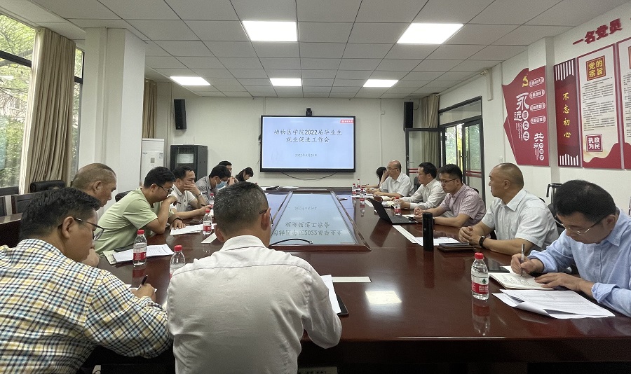 图1 91自拍
2022届毕业生就业促进工作会现场.jpg